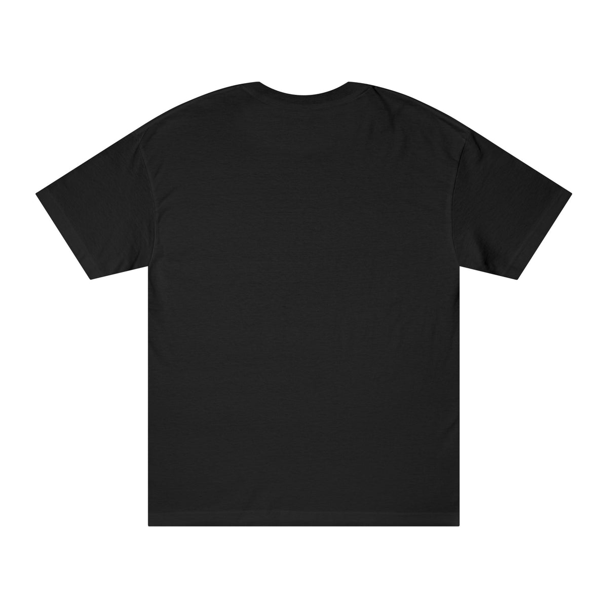 Faith & Family T-Shirt — Troubled Yet Triumphant Christian Tee